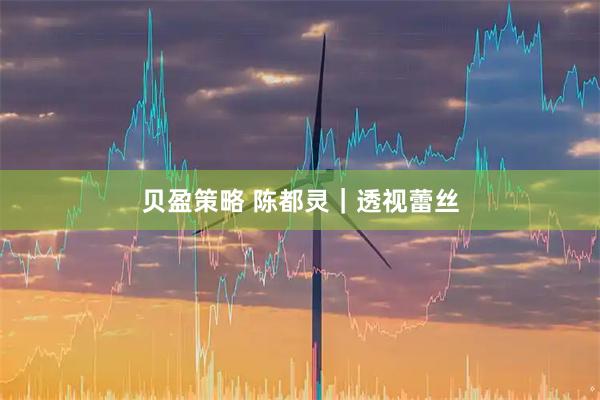 贝盈策略 陈都灵｜透视蕾丝