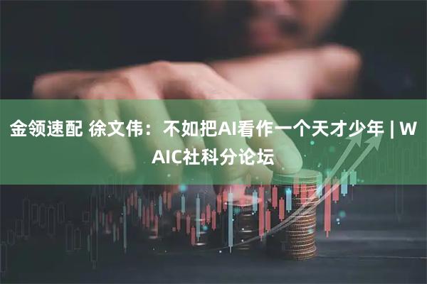 金领速配 徐文伟：不如把AI看作一个天才少年 | WAIC社科分论坛